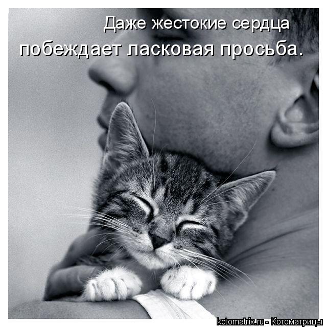 4743317_C_ (640x640, 66Kb)