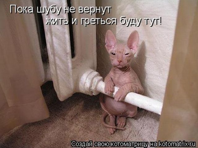 4743317_i12957 (640x480, 47Kb)