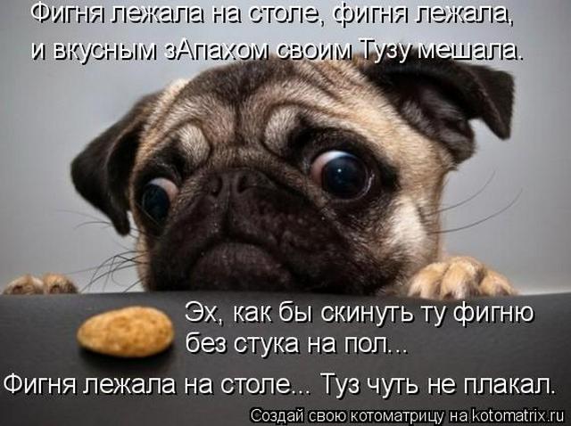 4743317_i24215 (640x478, 52Kb)