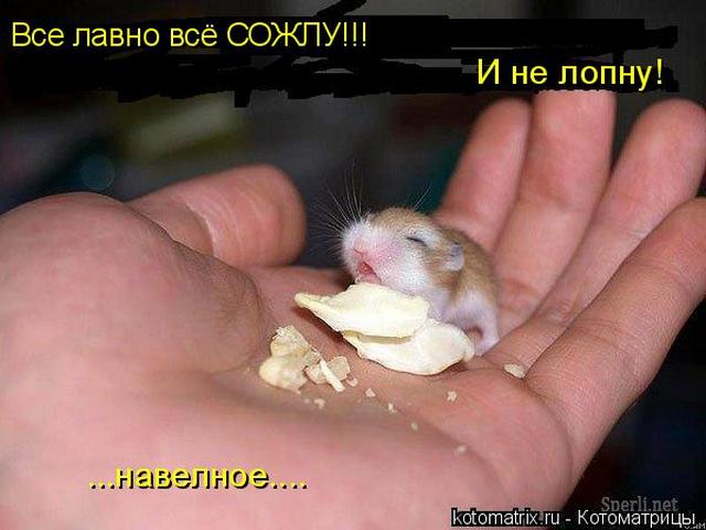 4743317_p_ (640x480, 38Kb)