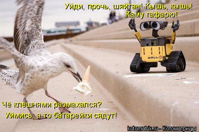 4743317_nF (640x426, 51Kb)