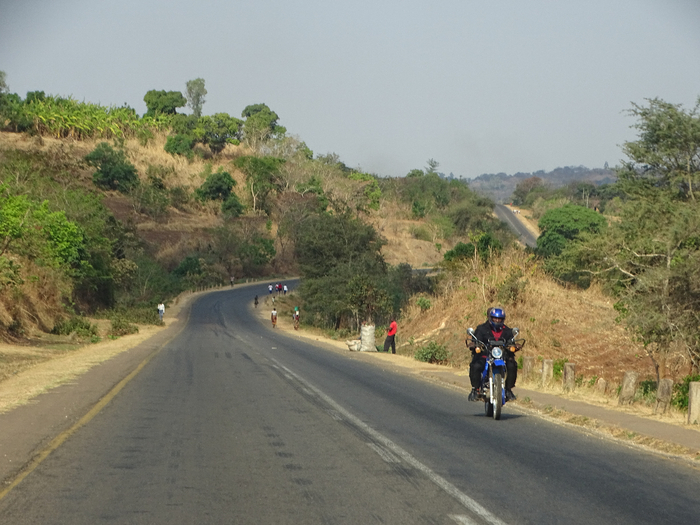 DSC00331 (700x525, 378Kb)