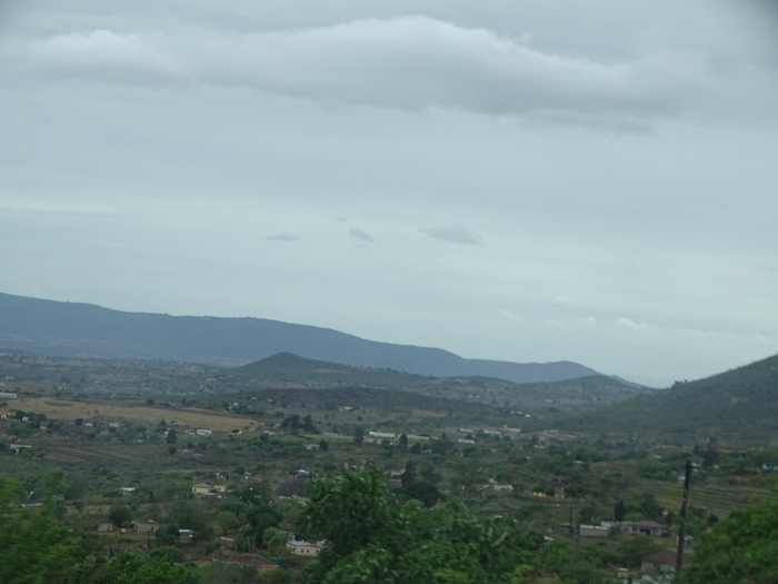 DSC00992 (700x525, 258Kb)