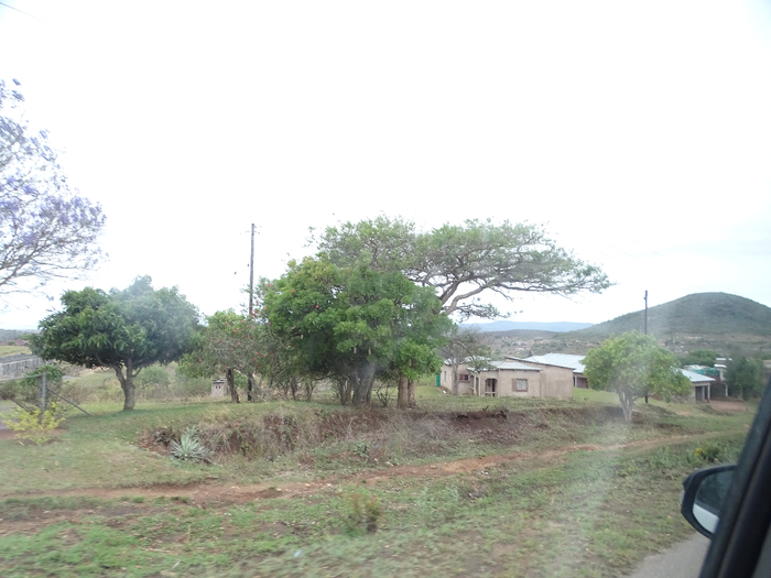 DSC00994 (700x525, 286Kb)