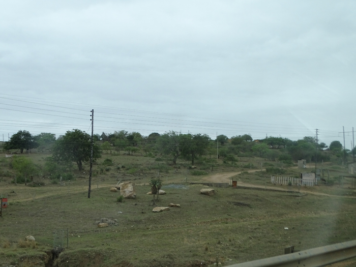 DSC01001 (700x525, 282Kb)