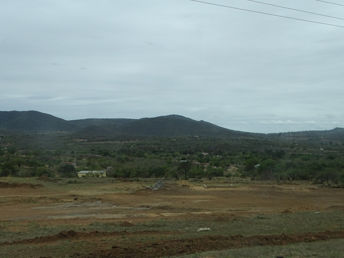 DSC01003 (700x525, 287Kb)