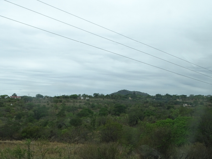 DSC01005 (700x525, 265Kb)