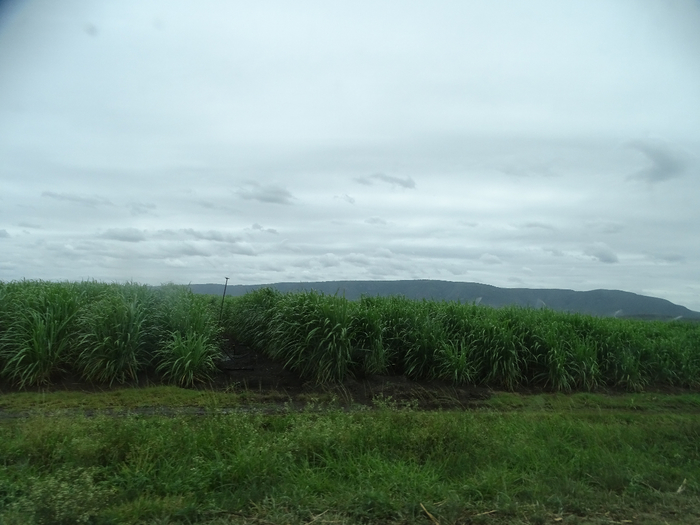 DSC01009 (700x525, 296Kb)