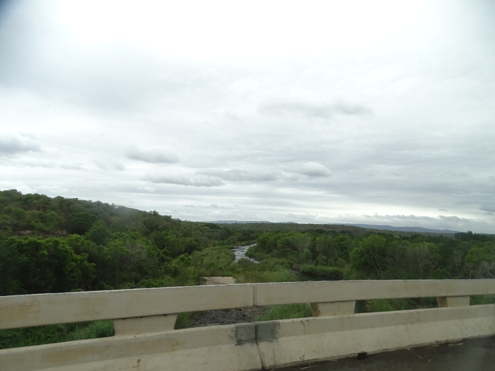 DSC01017 (700x525, 236Kb)