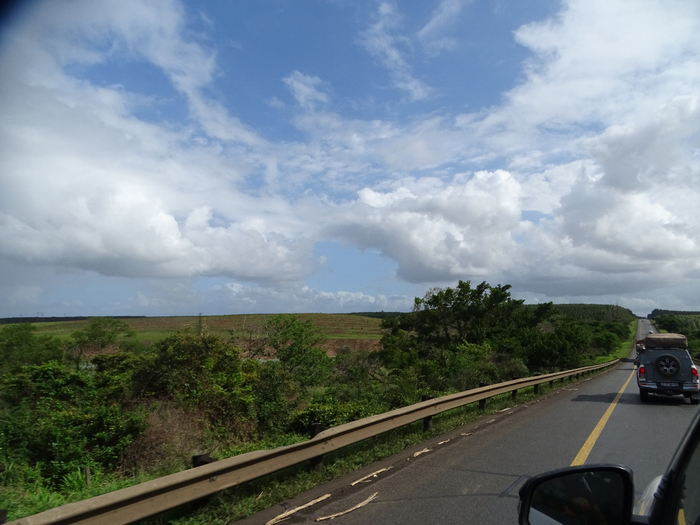 DSC01020 (700x525, 347Kb)