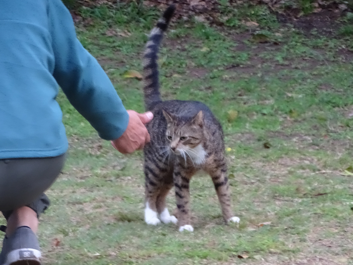 DSC01028 (700x525, 352Kb)