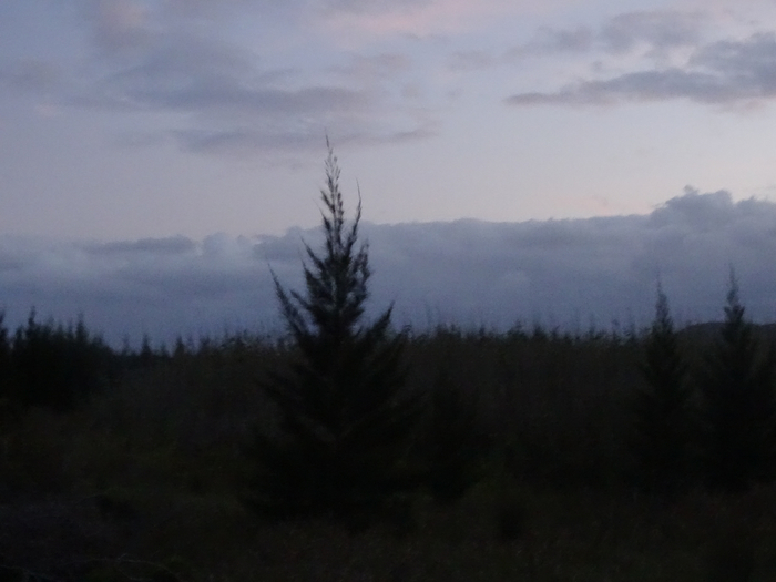 DSC01039 (700x525, 247Kb)