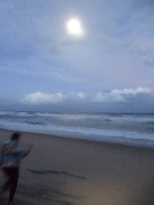 DSC01041 (525x700, 305Kb)