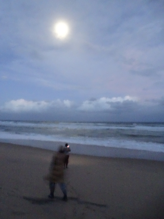 DSC01044 (525x700, 305Kb)