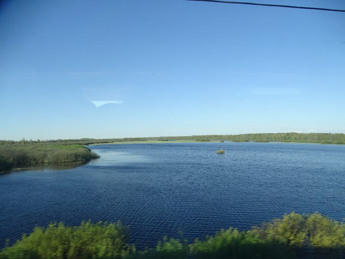 DSC00497 (700x525, 296Kb)