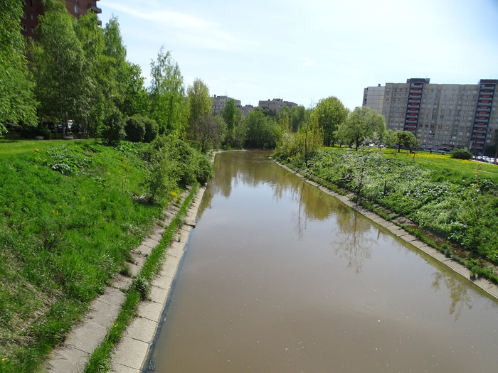 DSC00523 (700x525, 437Kb)