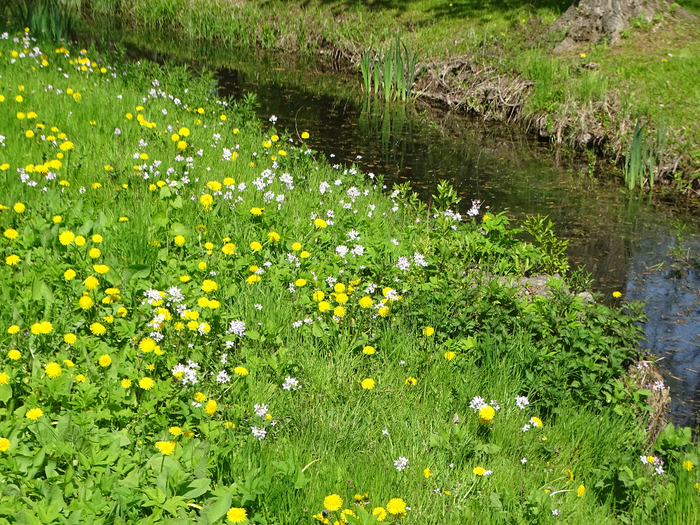 DSC00589 (700x525, 668Kb)