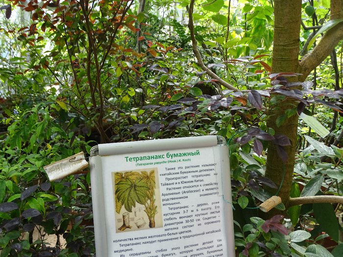 DSC00643 (700x525, 624Kb)