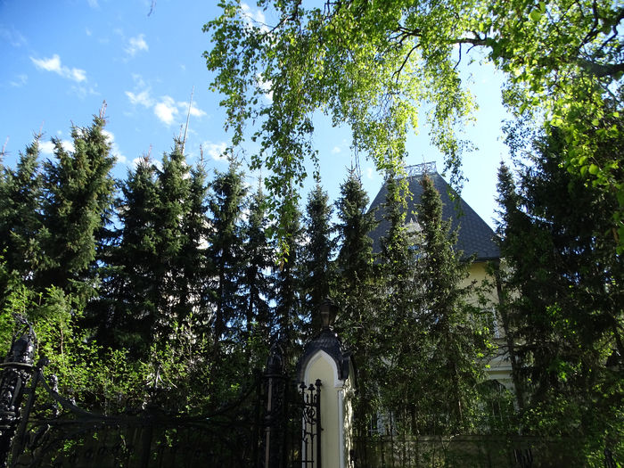 DSC00676 (700x525, 611Kb)