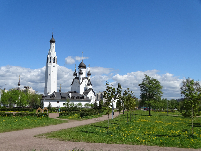 DSC00730 (700x525, 411Kb)