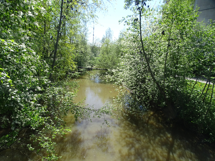 DSC00749 (700x525, 616Kb)