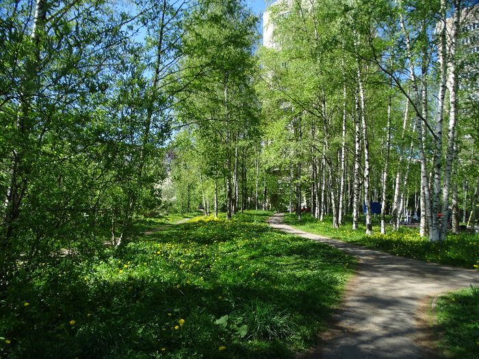 DSC00753 (700x525, 656Kb)