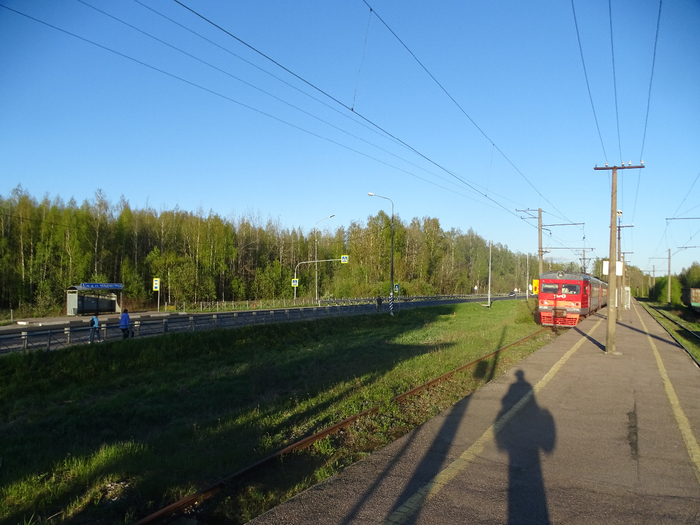 DSC00769 (700x525, 381Kb)