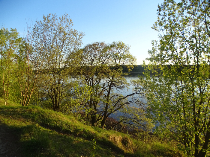 DSC00778 (700x525, 629Kb)