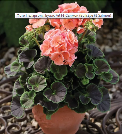 ������ (416x458, 466Kb)