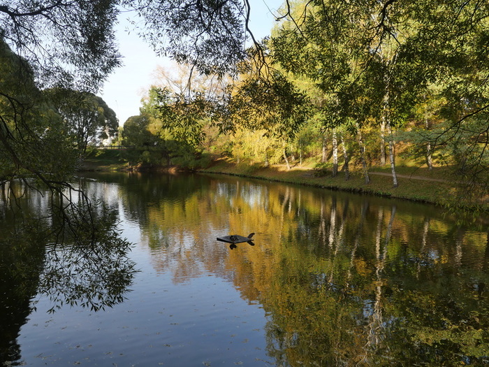 PANA4095 (700x525, 228Kb)