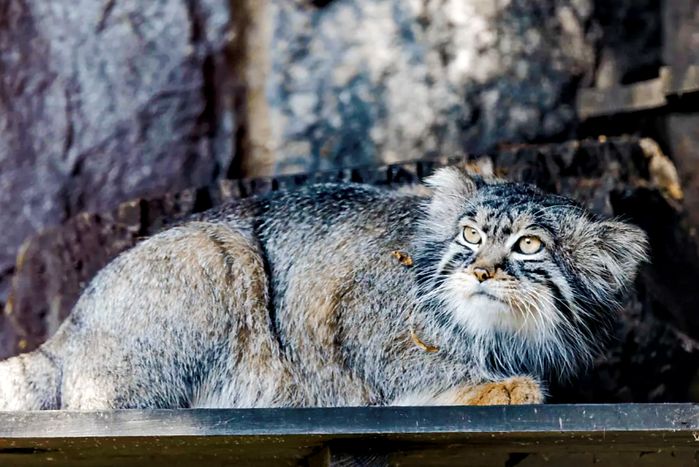 м2 (700x467, 574Kb)