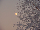 [+]  - Winter moon