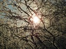 Посмотреть все фотографии серии Зима