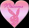 [+] ?- Pink Playboy Bunny welcome heart