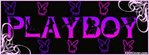 [+] ?- Black Pink Purple Playboy