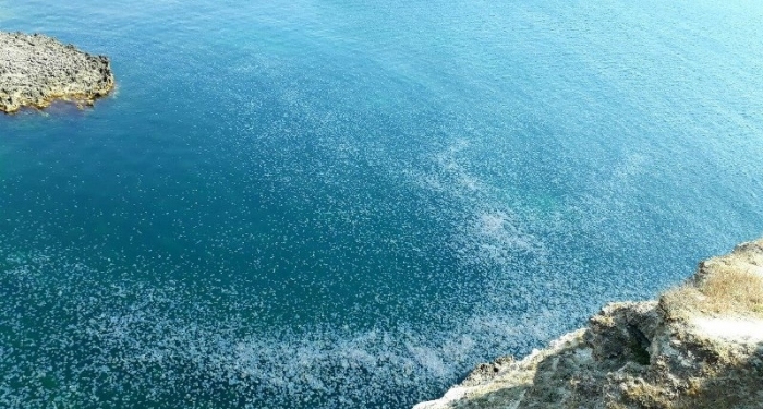 Море у мыса Тарханкут.