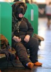  (Crufts) -     .