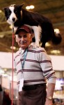  (Crufts) -     .
