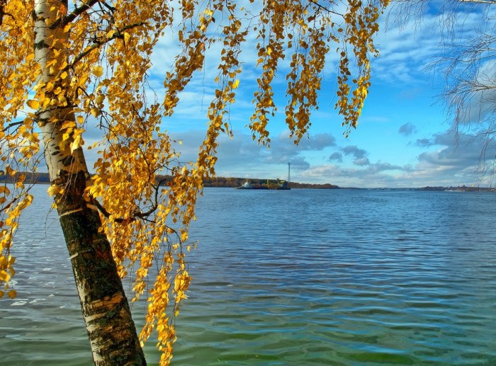 Волга река Самара осень
