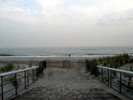 [+] ?- ?? Fire Island