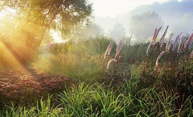 International Garden Photographer of the Year: winners and some of the finalists.