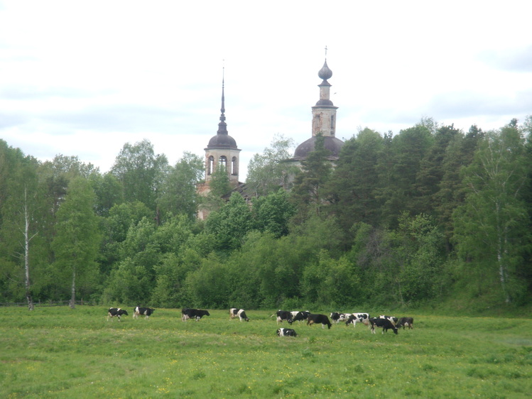 Село тарногский городок карта