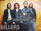 [+] ?- The Killers