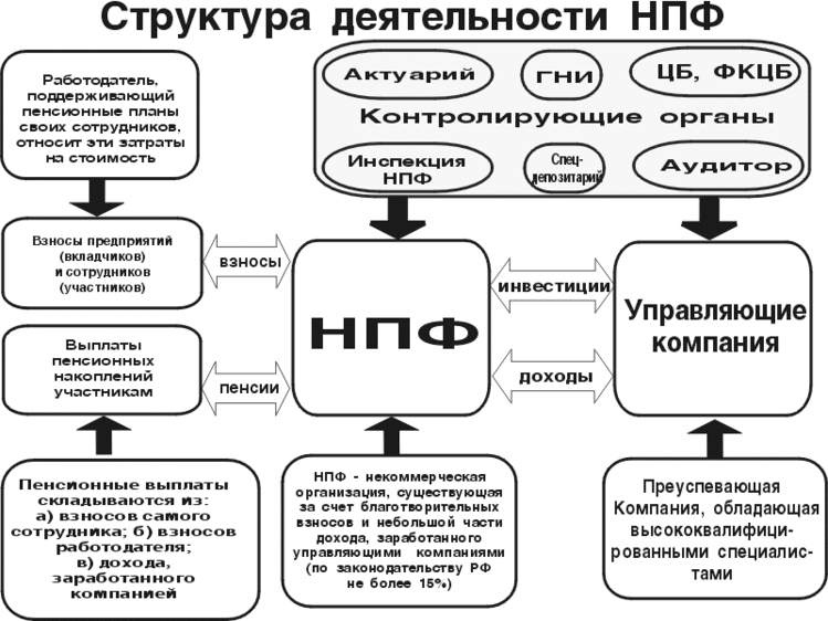 Пфр схема структура