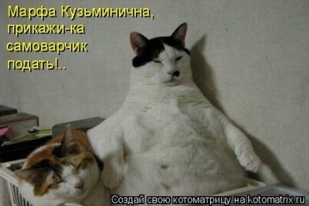 http://img0.liveinternet.ru/images/foto/b/3/apps/0/308/308888_1246019248_s3img_59490778_1086_3.jpg