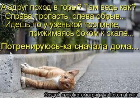 http://img0.liveinternet.ru/images/foto/b/3/apps/0/308/308890_1246019299_s3img_59490778_1085_2.jpg