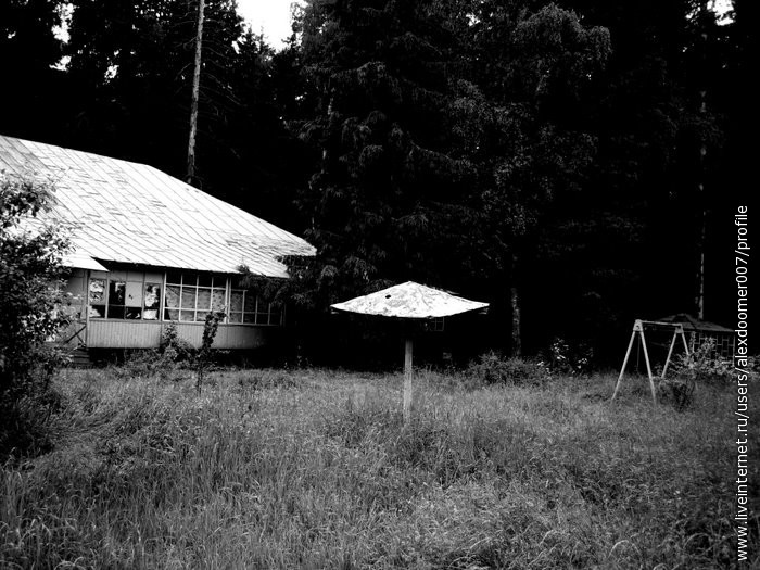 Лагерь чайка нижегородская область зеленый. Пионерский лагерь Чайка Московская область. Пионерский лагерь Чайка Городецкий район. Детский лагерь Чайка Московская область. Пионерский лагерь Чайка Наро Фоминский район.