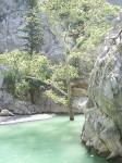    (Green Canyon)