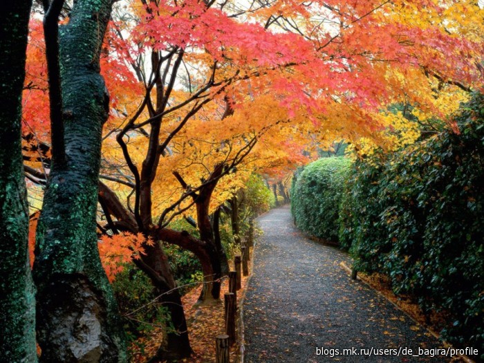 Kyoto