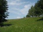 -07.2009.  